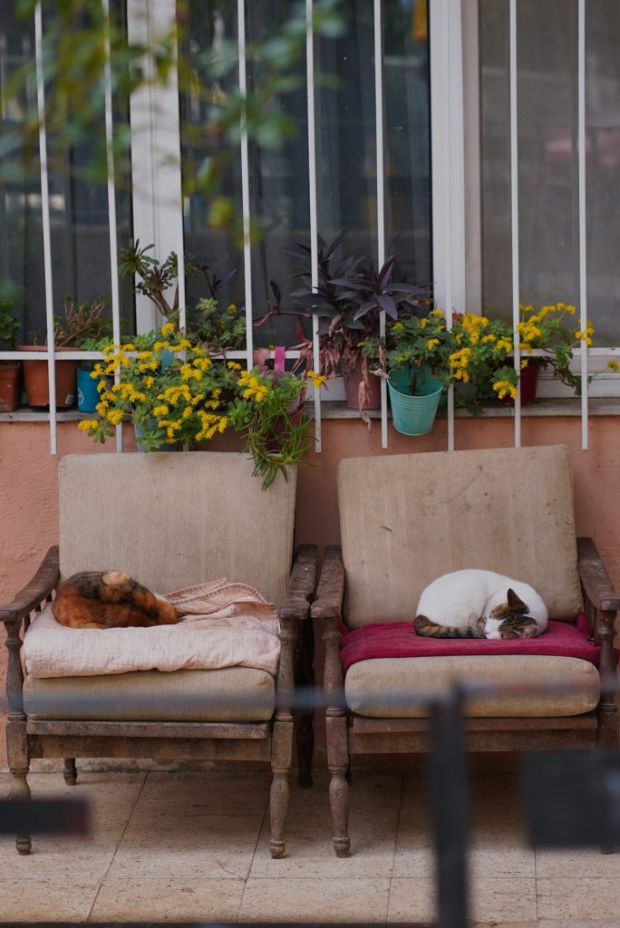 İstanbul ile ilgili fotoğraf