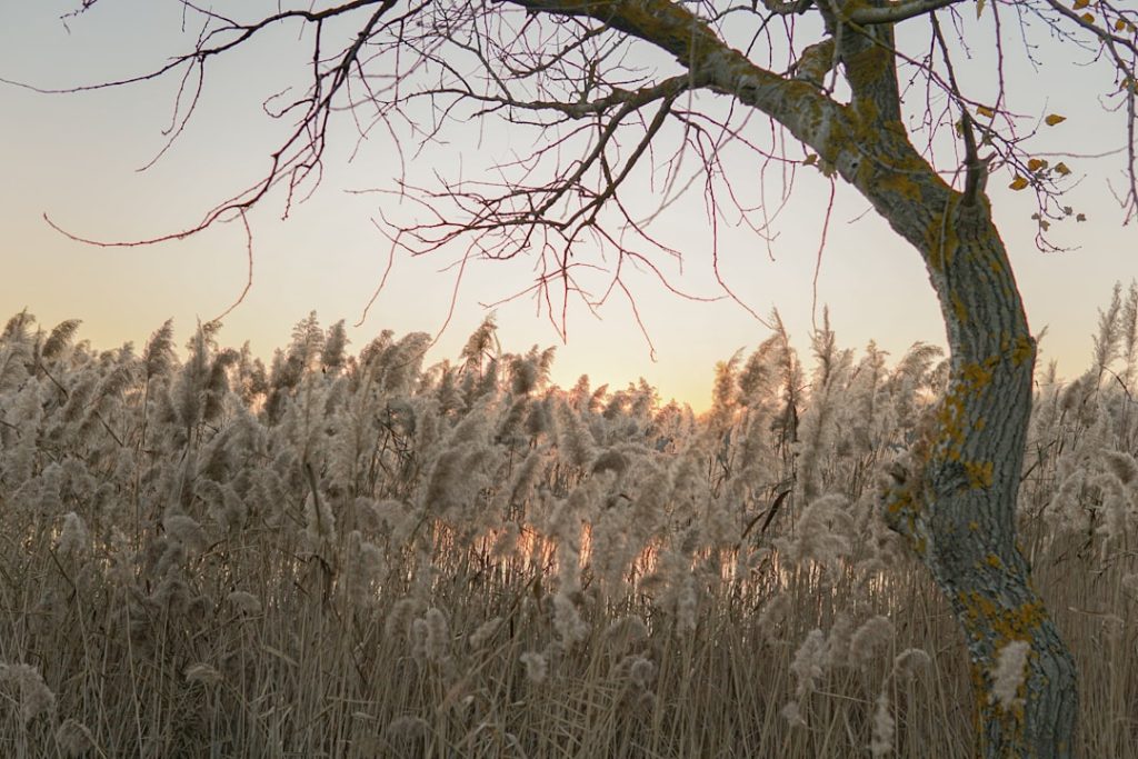 Silivri ile ilgili fotoğraf
